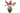 Boeket Thanatus