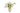 Boeket Hera
