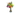 Boeket Crinisus