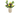 Boeket Hemera