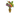 Boeket Crinisus