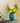 Vaas Tiara - groen
