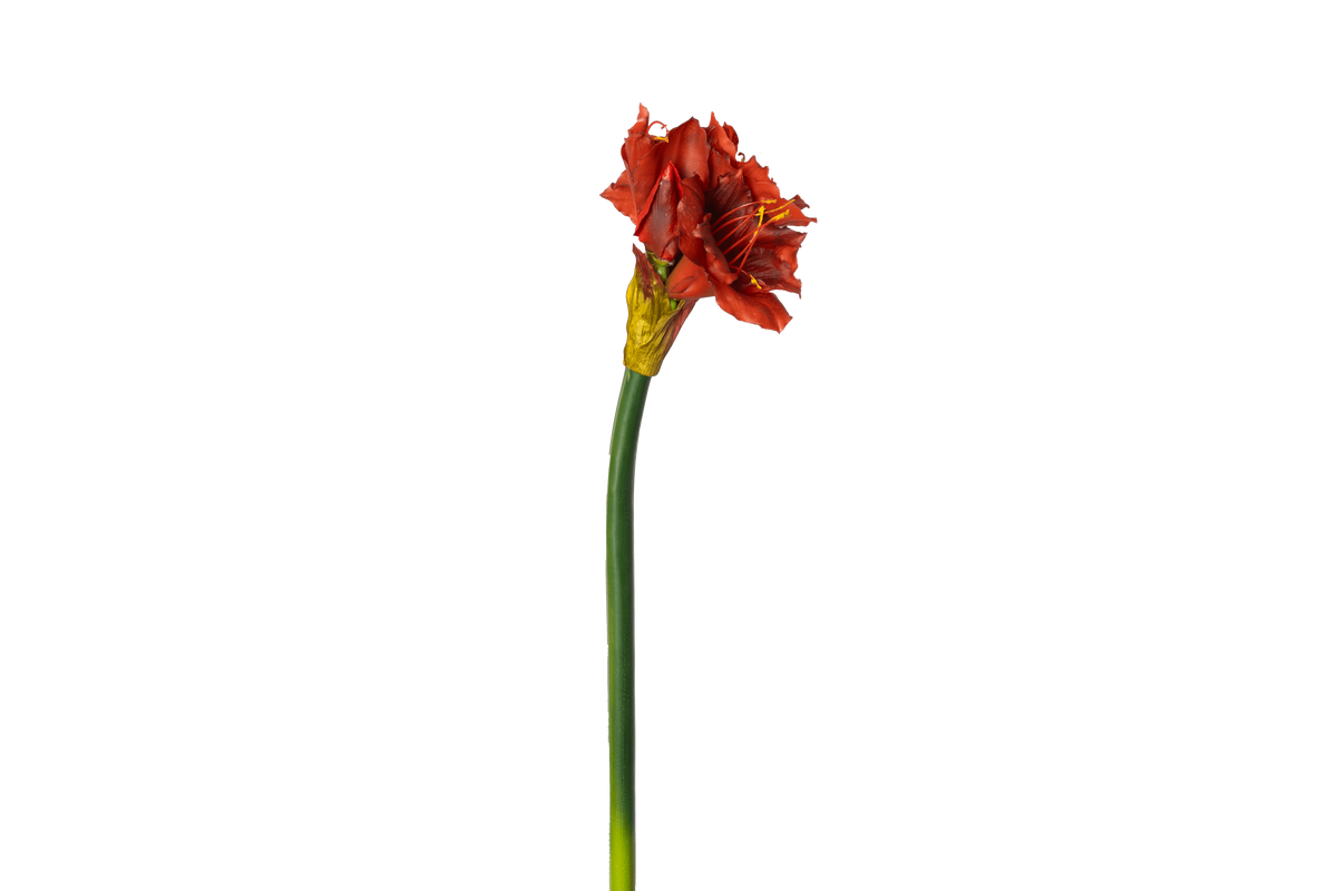Kunstbloem Amaryllis XL - rood