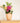 Vaas Catharina S - peach